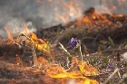 Пожароопасный период в Хакасии!