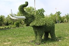 В Черногорске «подлатали» жирафов, оленя, слона и верблюда 