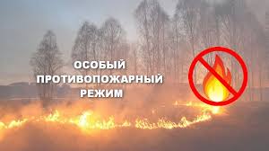 Особый противопожарный режим будет действовать на всей территории Хакасии до лета