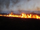 В Хакасии – почти 38 тысяч земельных участков входят в зону риска по пожарам
