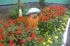 В Черногорске вновь пройдут конкурсы "Городские цветы" и "Черногорский подсолнух"